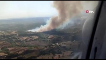 Adana'da orman yangını! Hem karadan hem de havadan ekipler sevk edildi