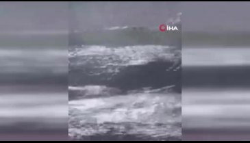 Ağrı Dağı'nda karlar eridi! Sel meydana geldi