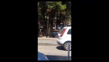 Bursa'da çamlık alanda yangın!