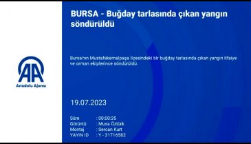 Bursa'da arpa tarlasında yangın çıktı!