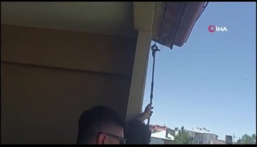 Sivas'ta kırlangıç çatıda mahsur kaldı! İtfaiye kurtardı