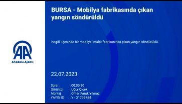 Bursa'da mobilya fabrikasında yangın çıktı