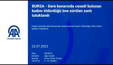 Bursa'da dere kenarında cesedi bulunan kadını öldürdüğü iddia edilen zanlı tutuklandı