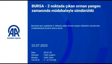 Bursa'da 2 noktada orman yangını!