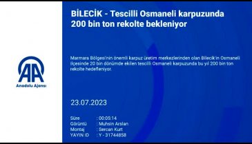 Bilecik'te osmaneli karpuzunda 200 bin ton rekolte bekleniyor