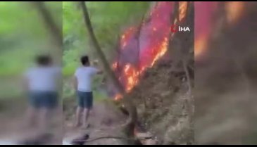 Bursa'da Uludağ eteklerinde yangın