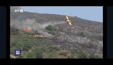 Yunanistan'da yangına müdahale eden uçak düştü
