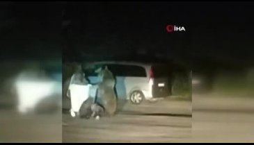 Bursa'da karnı acıkan ayı ailesi piknik alanına indi!