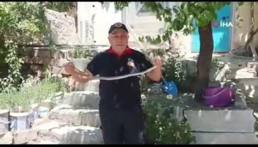 Çorum'da eve yılan girdi