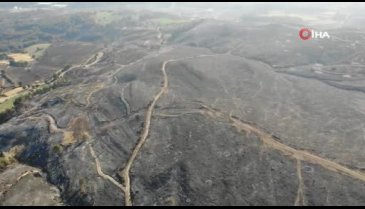 Çanakkale'deki orman yangınlarında üzücü bilanço!