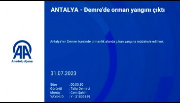 Antalya'nın Demre ilçesinde orman yangını! Müdahale ediliyor