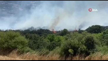Çanakkale'de tarım arazilerinin olduğu bölgede yangın çıktı