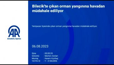 Bilecik'teki yangın kontrol altına alındı