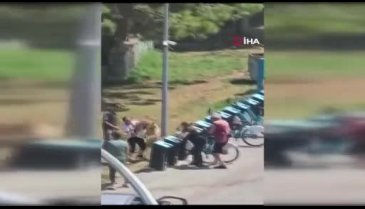 İstanbul'da tasmasız köpek başka bir köpeğe saldırdı! O anlar kamerada