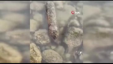 Bursa'da balıkçılar gölün içerisinde top mermisi buldu!