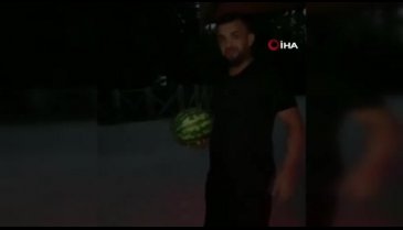 Bursa'da bir vatandaş anne ayı ve yavrularını karpuzla besledi