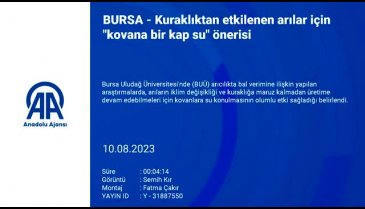 BUÜ'den arılar için öneri! "Kovana bir kap su"