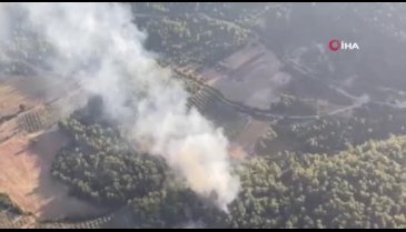 Manisa Kırkağaç'ta orman yangını