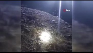 'Arap tavşanı' Elazığ'ın Sivrice ilçesinde görüntülendi