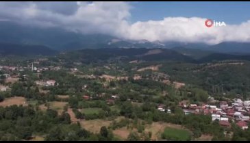 Bursa'da köyünde kurduğu tesiste günde 200 kilograma kadar kültür mantarı üretiyor