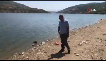 Bursa'da ölen balıklar karaya vurdu