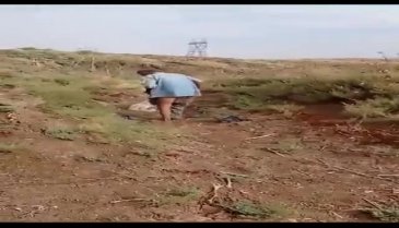Şanlıurfa'da iğrenç olay! Köpeğe tecavüz ederken yakalandı