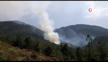 Bolu'da orman yangını başladı