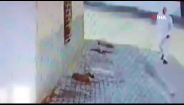 Mardin'de bir şahıs bastonuyla köpeğin kafasına defalarca vurdu!
