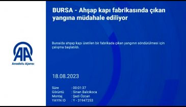 Bursa'da ahşap fabrikasında yangın