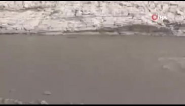 Şırnak'ta nesli tükenme tehlikesinde olan su samuru görüldü