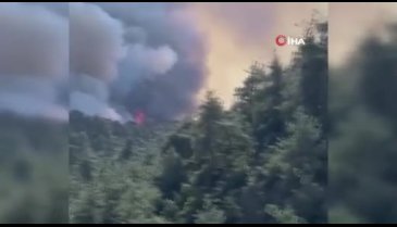 Bursa'da orman yangını çıktı!