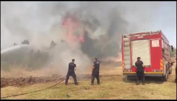 Bursa'da Balkan Mahallesinde zeytinlik alanda yangın