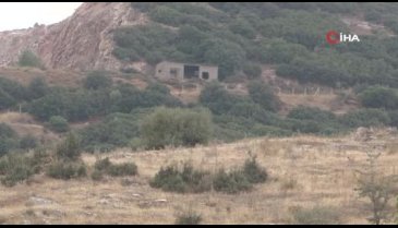 İzmir'de köpekler tarafından kesik baş bulundu!