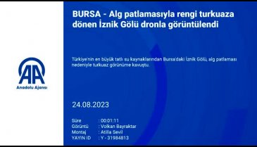 İznik Gölü, alg patlaması sebebiyle turkuaza büründü