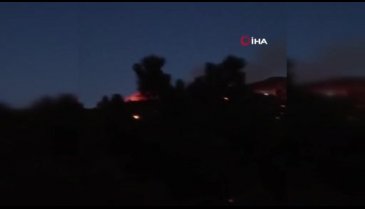 İstanbul'da ormanlık alanda yangın çıktı