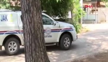 Kayıp ekonomistin köpeği 74 gün sonra ortaya çıktı!