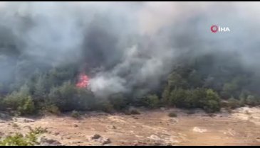 Çanakkale'nin Çan ilçesinde orman yangını