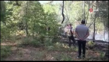 Bursa Orhaneli'de ormanlık alanda yangın çıktı!