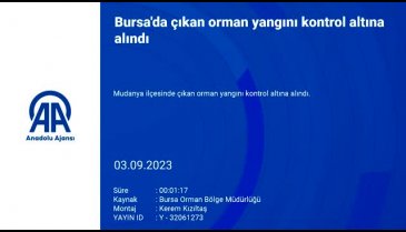 Bursa'da orman yangını kontrol altına alındı!