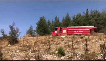 Orhaneli'de ormanlık alanda yangın