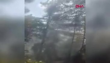 Çanakkale Ayvacık'da orman yangını!