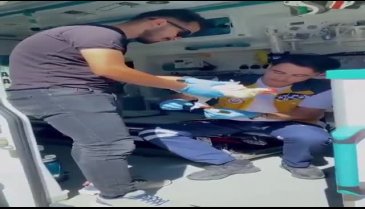 Bursa'da 112 sağlık personelinin tavuğa pansuman yapması gündem oldu