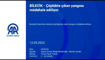 Bilecik'te çöplükte yangın!