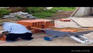 İnşaat işçiliği yapan maymun, sosyal medya'da gündem oldu