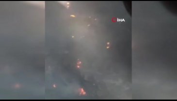 İzmir'de orman yangını!