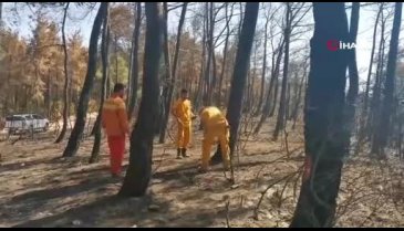 Bursa'da küle dönen 25 hektarlık ormanlık alanın bilançosu çıkarılıyor