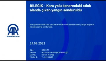 Bilecik'te otluk alanda çıkan yangın söndürüldü!