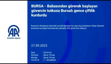 Güvercin tutkusu Bursalı gence çiftlik kurdurdu