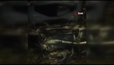 Bursa'da otomobil ağaçlara çarparak durabildi! 2 yaralı