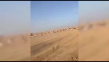Gazze sınırındaki İsrail vatandaşları bölgeden kaçıyor
